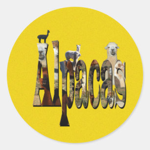 Geel gespeende alpaca-ontwerp, ronde sticker