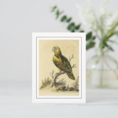  geel gespikkeld Amazon Parrot Bird Briefkaart (Staand voorkant)
