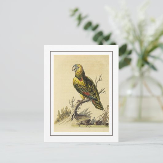  geel gespikkeld Amazon Parrot Bird Briefkaart (Staand voorkant)