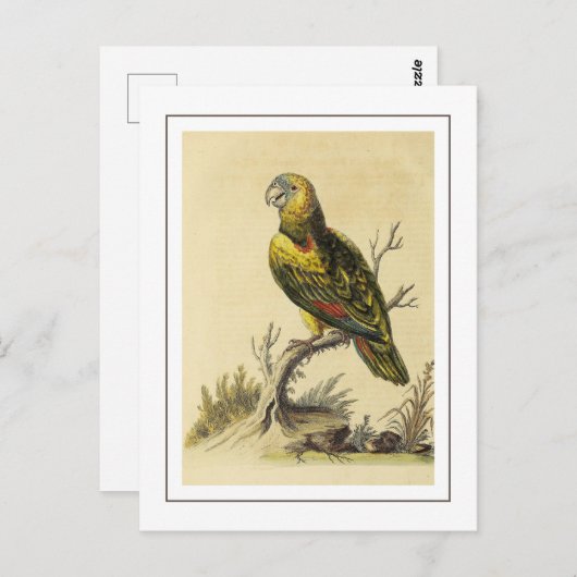  geel gespikkeld Amazon Parrot Bird Briefkaart (Voorkant / Achterkant)