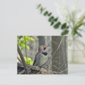 Geel-gespleten flikkercoördinatiepunten briefkaart (Staand voorkant)