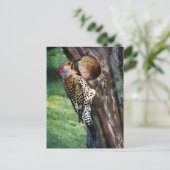 Geel-gespleten flikkering en boomkaviteit briefkaart (Staand voorkant)