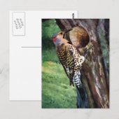 Geel-gespleten flikkering en boomkaviteit briefkaart (Voorkant / Achterkant)