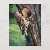 Geel-gespleten flikkering en boomkaviteit briefkaart (Voorkant)