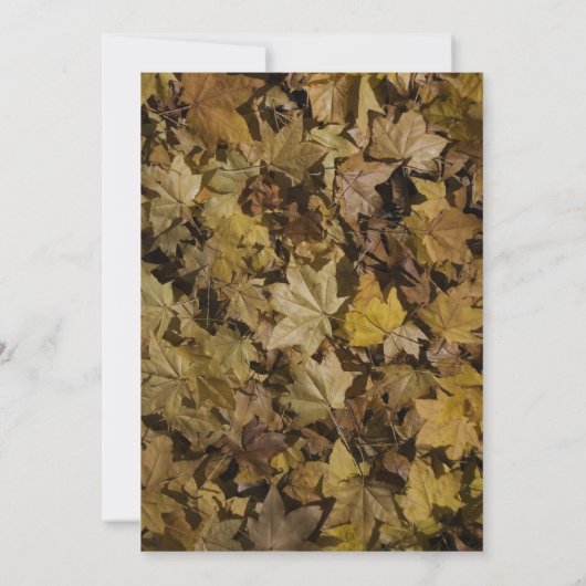 Geel Gestorven lederen bruiloft-repetitie Kaart (Achterkant)