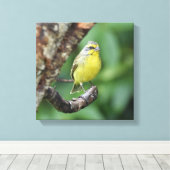 Geel gevoerde kanarie op een boomtak canvas afdruk (Insitu (Houten vloer))
