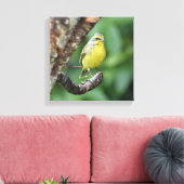 Geel gevoerde kanarie op een boomtak canvas afdruk (Insitu (Woonkamer))