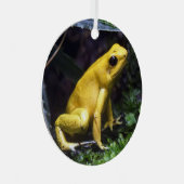 Geel gif Dart Frog Metal Ornament (Voorkant Rechts)