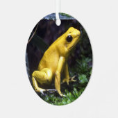 Geel gif Dart Frog Metal Ornament (Voorkant links)