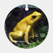 Geel gif Dart Frog Metal Ornament (Achterkant)