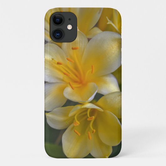 Geel Gouden Lelie Bloemen Bloemen Bloemen Floral T Case-Mate iPhone Case (Achterkant)