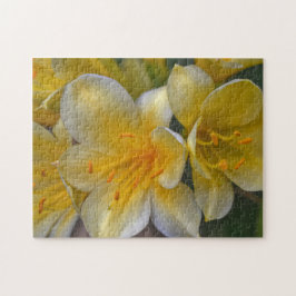 Geel Gouden Lelie Bloemen Bloementuin Puzzel