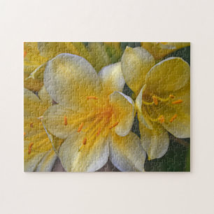 Geel Gouden Lelie Bloemen Bloementuin Puzzel Legpuzzel