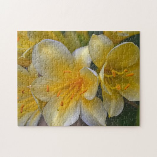 Geel Gouden Lelie Bloemen Bloementuin Puzzel Legpuzzel (Horizontaal)
