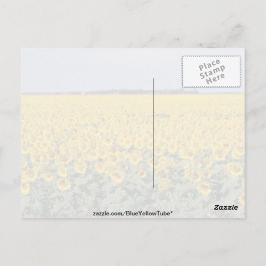 Geel goudveld van de zonnebloemen, Manitoba-bloem Briefkaart (Achterkant)