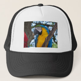 Geel groen en blauw tropisch Macaw Trucker Pet