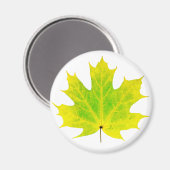 Geel groen esdoornblad magneet (Voorkant / Achterkant)