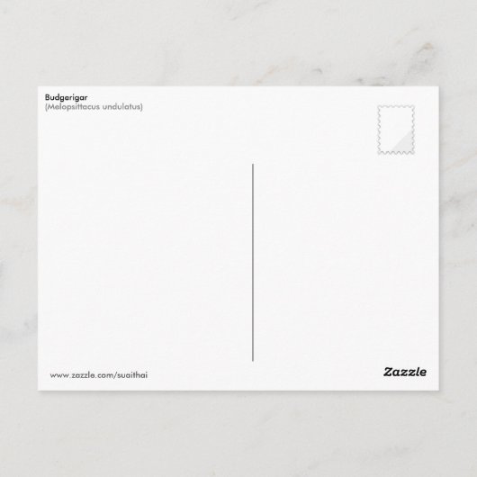 Geel-groene boedgerigar briefkaart (Achterkant)