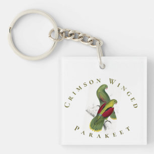 Geel Groene Rode Crimson Winged Paraket Sleutelhanger