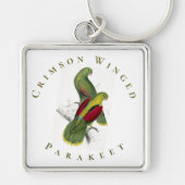  Geel Groene Rode Crimson Winged Paraket Sleutelhanger (Voorkant)