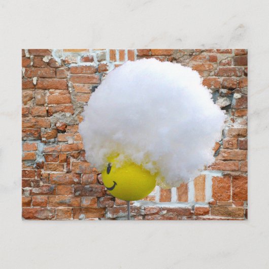 Geel Happy Face Antenna Topper, Fluffy Snow Pet Briefkaart (Voorkant)