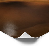 Geel Hardy Sunflower Art Beste zonnebloempotfoto's Perfect Poster (Hoek)