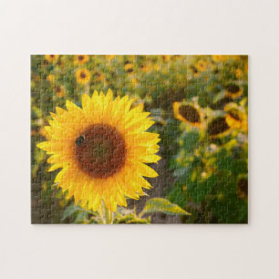 Geel Hardy Sunflower Best Sunflower Photos Legpuzzel