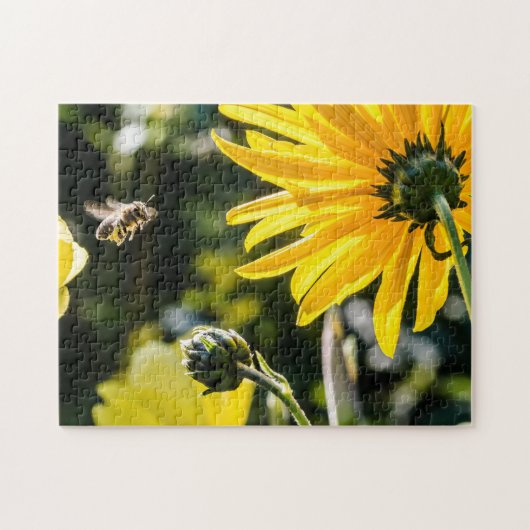 Geel Hardy Sunflower Best Sunflower Photos Legpuzzel (Horizontaal)