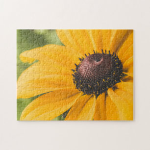 Geel Hardy Sunflower Best Sunflower Photos Legpuzzel