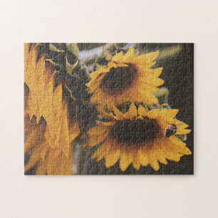 Geel Hardy Sunflower Best Sunflower Photos Legpuzzel
