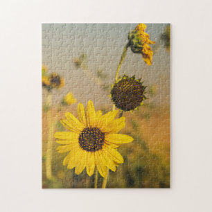 Geel Hardy Sunflower Best Sunflower Photos Legpuzzel