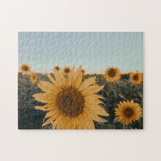 Geel Hardy Sunflower Best Sunflower Photos Legpuzzel (Horizontaal)