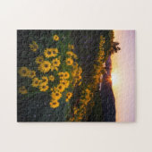 Geel Hardy Sunflower Best Sunflower Photos Legpuzzel (Horizontaal)