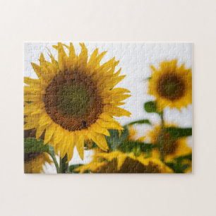 Geel Hardy Sunflower Best Sunflower Photos Legpuzzel