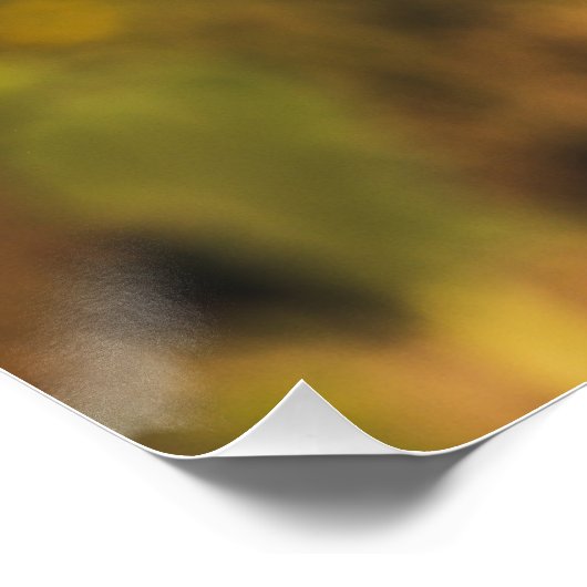 Geel Hardy Sunflower Best Sunflower Photos Perfect Poster (Hoek)