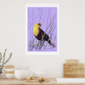 Geel-Headed Blackbird...print. Poster (Keuken)
