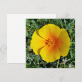 geel herfst (Voorkant / Achterkant)