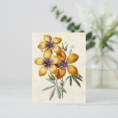 Geel Hibiscus  Botanisch Briefkaart (Staand voorkant)