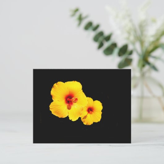 Geel Hibiscus Briefkaart (Staand voorkant)