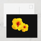 Geel Hibiscus Briefkaart (Voorkant / Achterkant)
