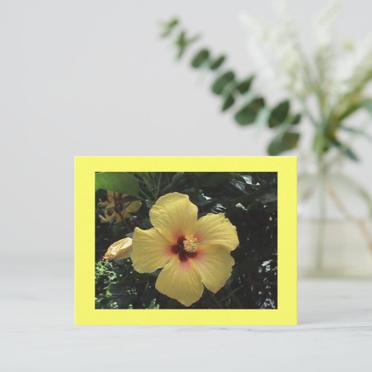 Geel Hibiscus Briefkaart (Staand voorkant)