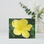 Geel Hibiscus Flower Briefkaart (Staand voorkant)