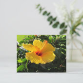 Geel Hibiscus Flower Briefkaart (Staand voorkant)