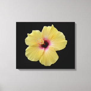 Geel Hibiscus Flower Wrapped Canvas Afdruk