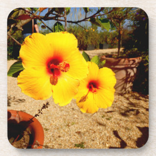 Geel Hibiscus Hard Plastic Onderzetter
