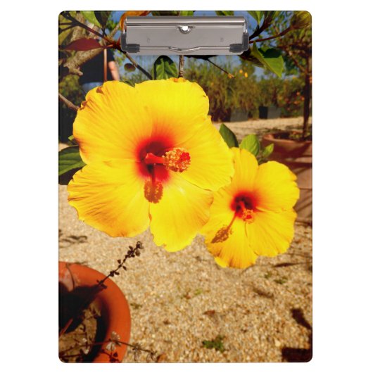 Geel Hibiscus-klembord Klembord (Voorkant)