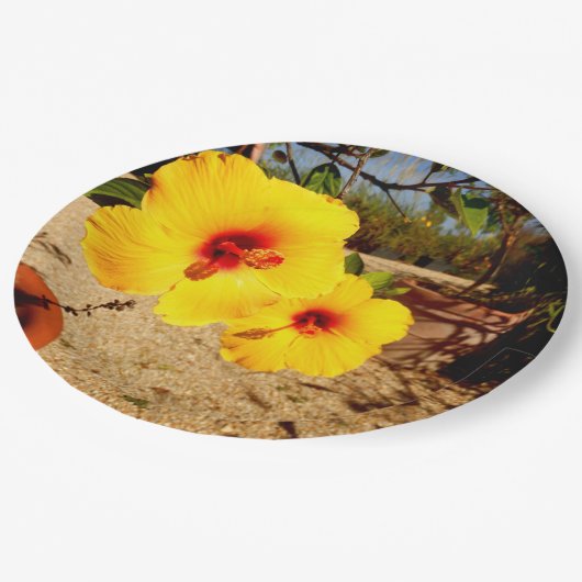 Geel Hibiscus Paper Bord (Gekanteld)