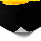 Geel Hibiscus Poster (Hoek)
