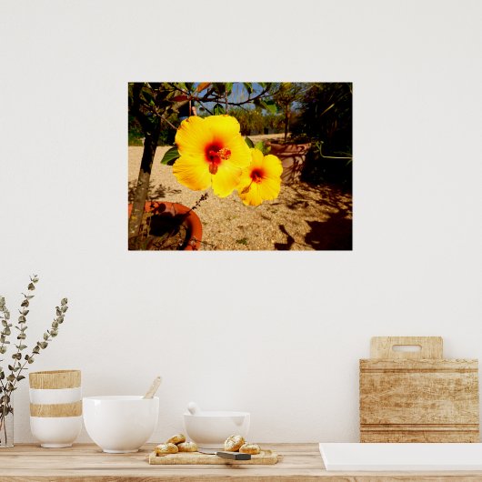 Geel Hibiscus Poster (Keuken)