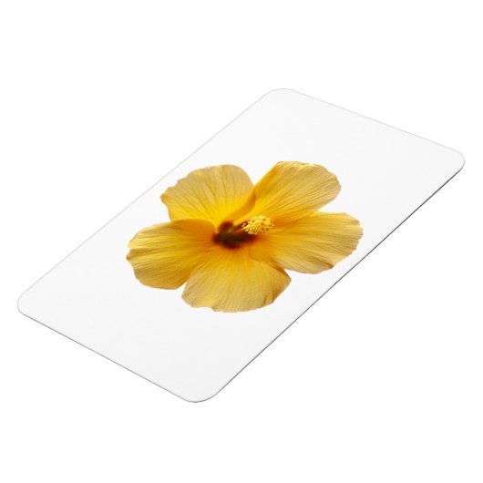 Geel Hibiscus Tropical Flower Floral Magneet (Linkerzijde)